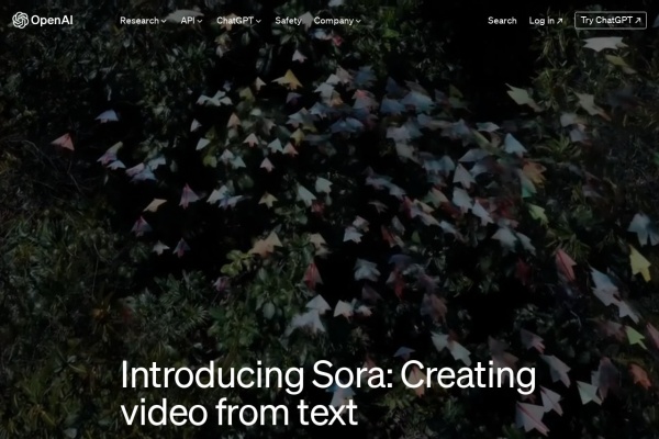 Sora  🔥