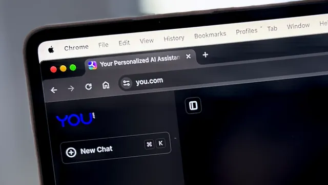 You.com 2024年国外最好用的AI聊天机器人推荐