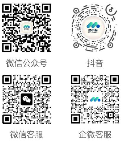 慧中标