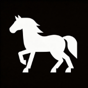 Happy Horse